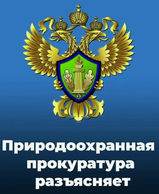 Нижегородская межрайонная  природоохранная прокуратура разъясняет изменения, внесенные в законодательство об отходах